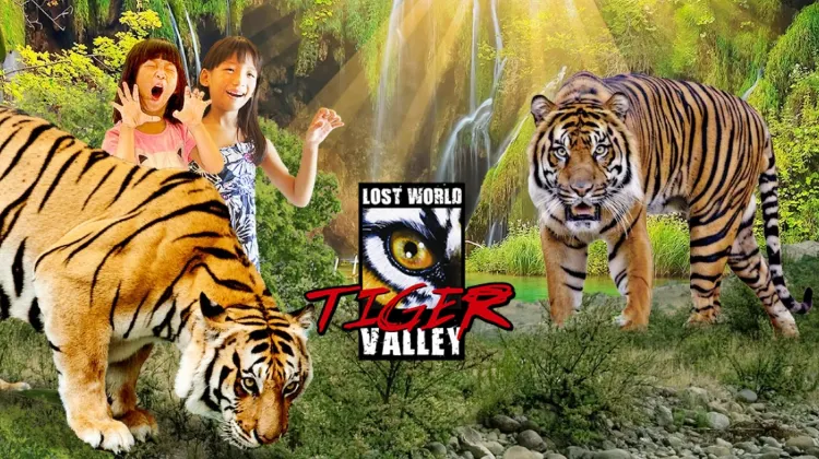 LOST WORLD TIGER VALLEY