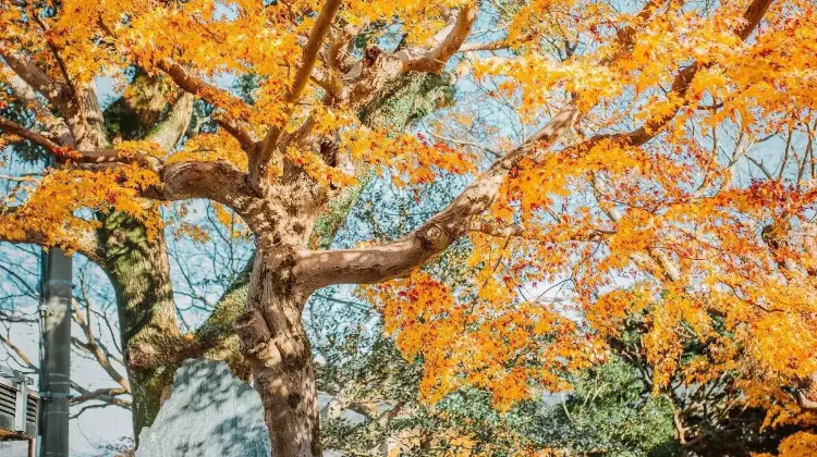 伊勢・志摩のお土産はどこで買う?おすすめの場所ベスト3