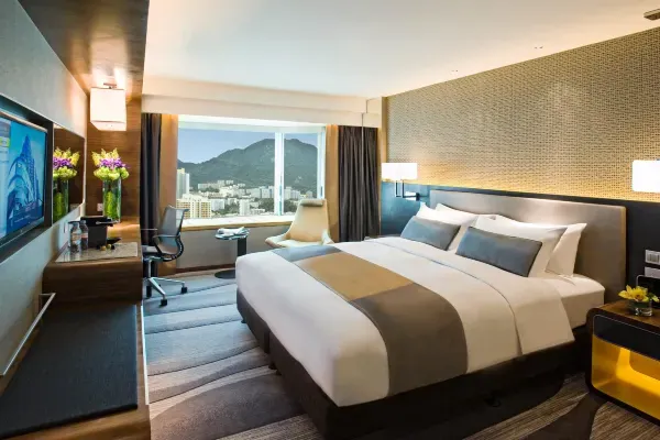 帝京酒店豪華套房