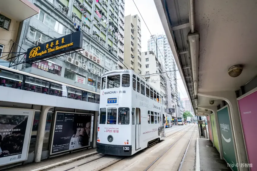 親子好去處「交通工具遊」＃7 香港懷舊電車遊