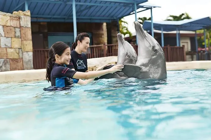 Attractions near Royal Albatross: Dolphin Island