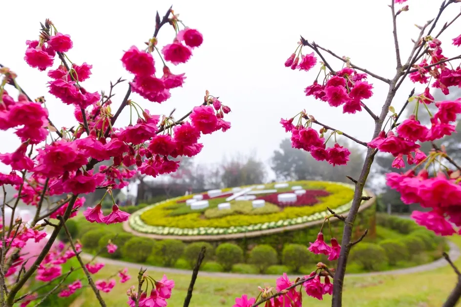 陽明山國家公園