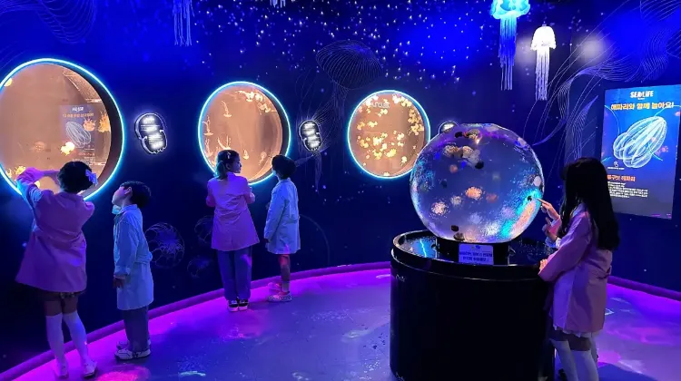 シーライフ釜山アクアリウムに関するよくある質問