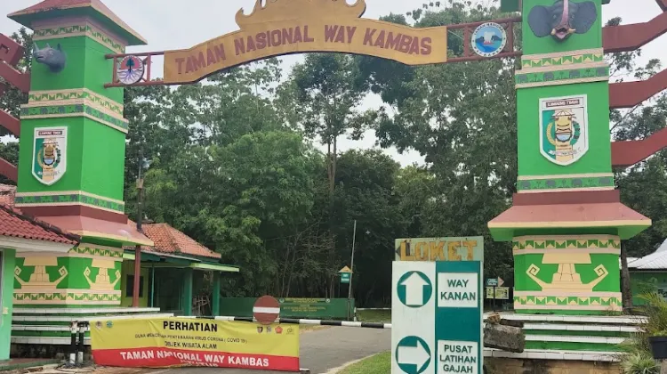 Tempat Wisata di Bandar Lampung-Taman Nasional Way Kambas