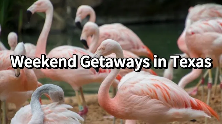 Weekend Getaways in Texas