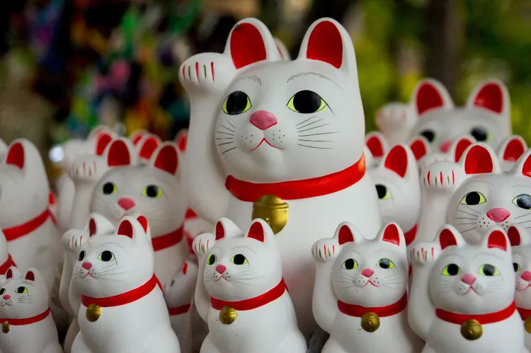 ของฝากจากญี่ปุ่น