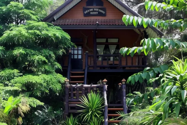 ที่พักเขาสก เขาสก ทรีเฮาส์