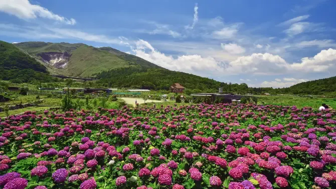8. Tempat Wisata di Taiwan-Yangmingshan National Park