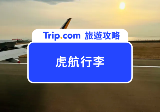 2026 虎航行李規定｜出國不焦慮！虎航托運行李件數、行李限重、加購對策解析 | Trip.com