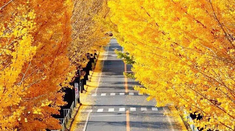 ひとり旅で札幌に行ったらやりたい5つのこと