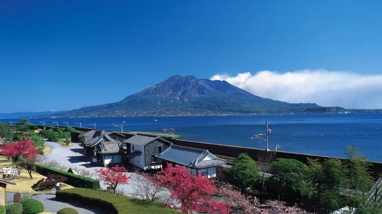 鹿児島のお土産選びで気を付けたい3つのこと