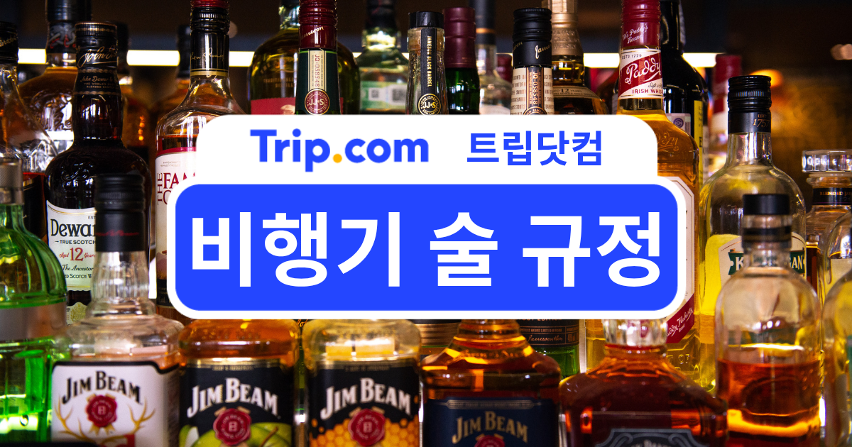 비행기 술 규정 총정리: 기내 술 반입 가능 여부 한눈에 보기 | 트립닷컴