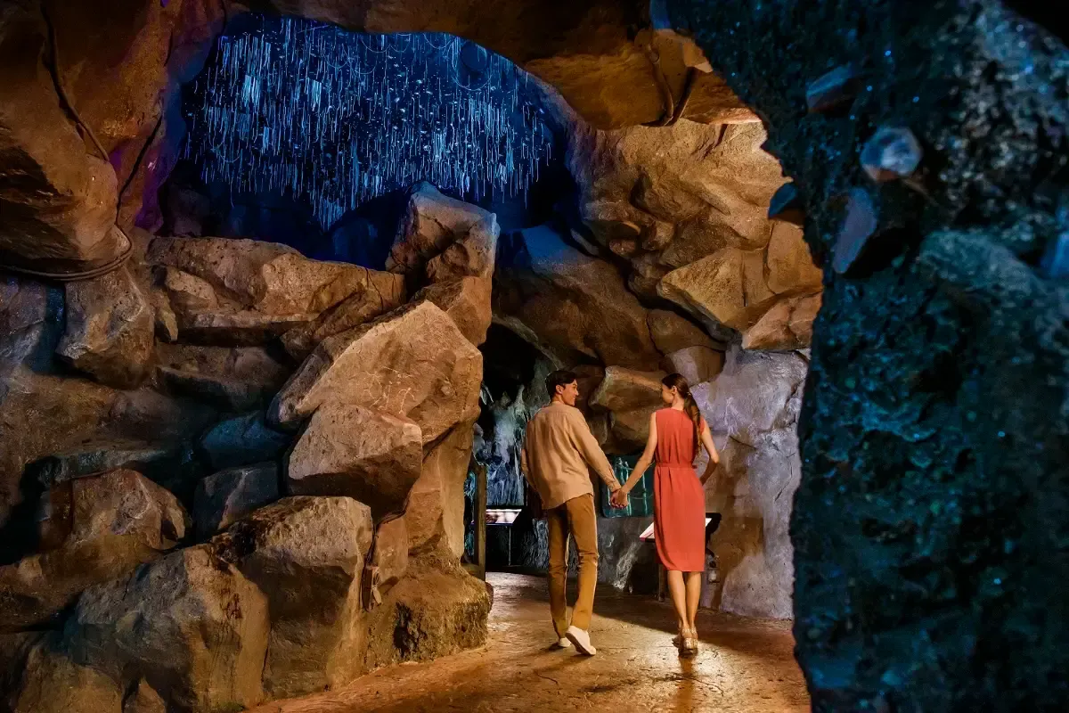 ナイトサファリへのアクセス