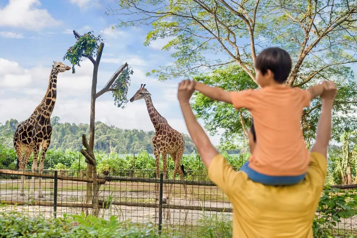 Tempat Wisata di Singapura-S.E.A. Aquarium