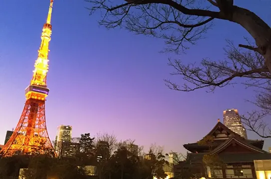 Other attractions in Tokyo