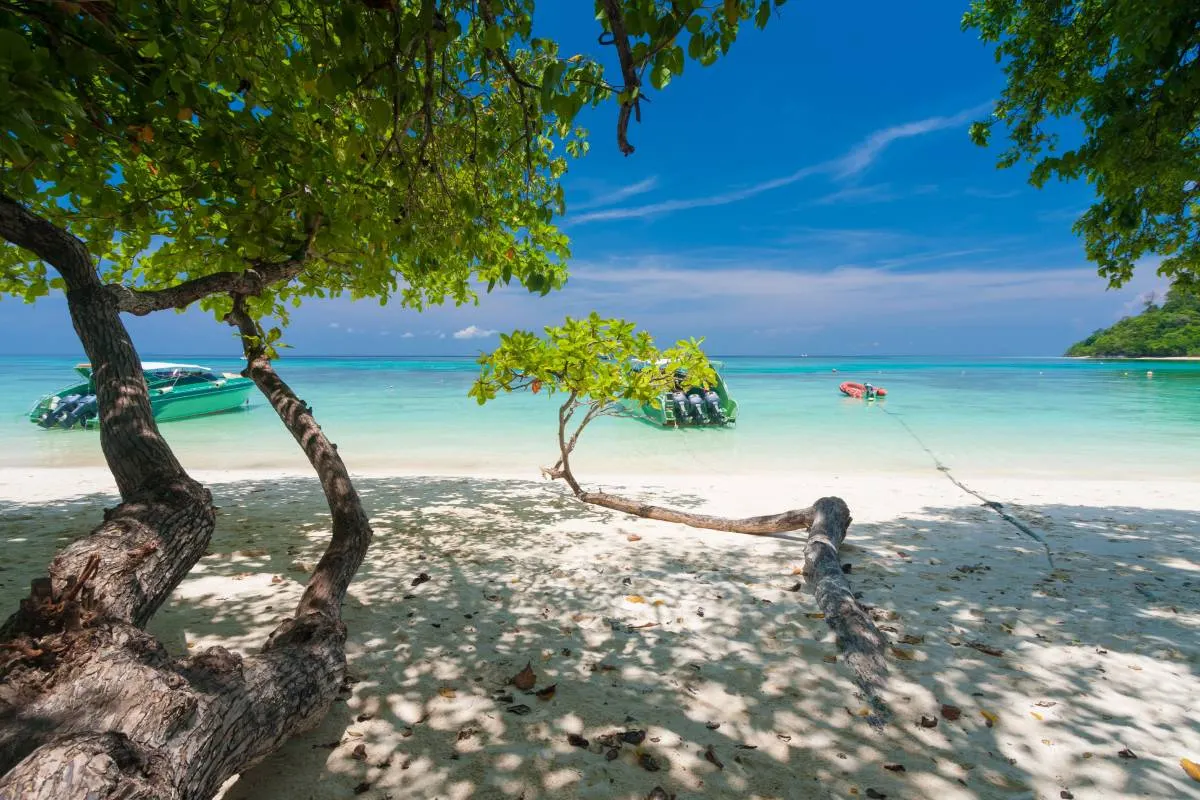 เกาะรอก กระบี่