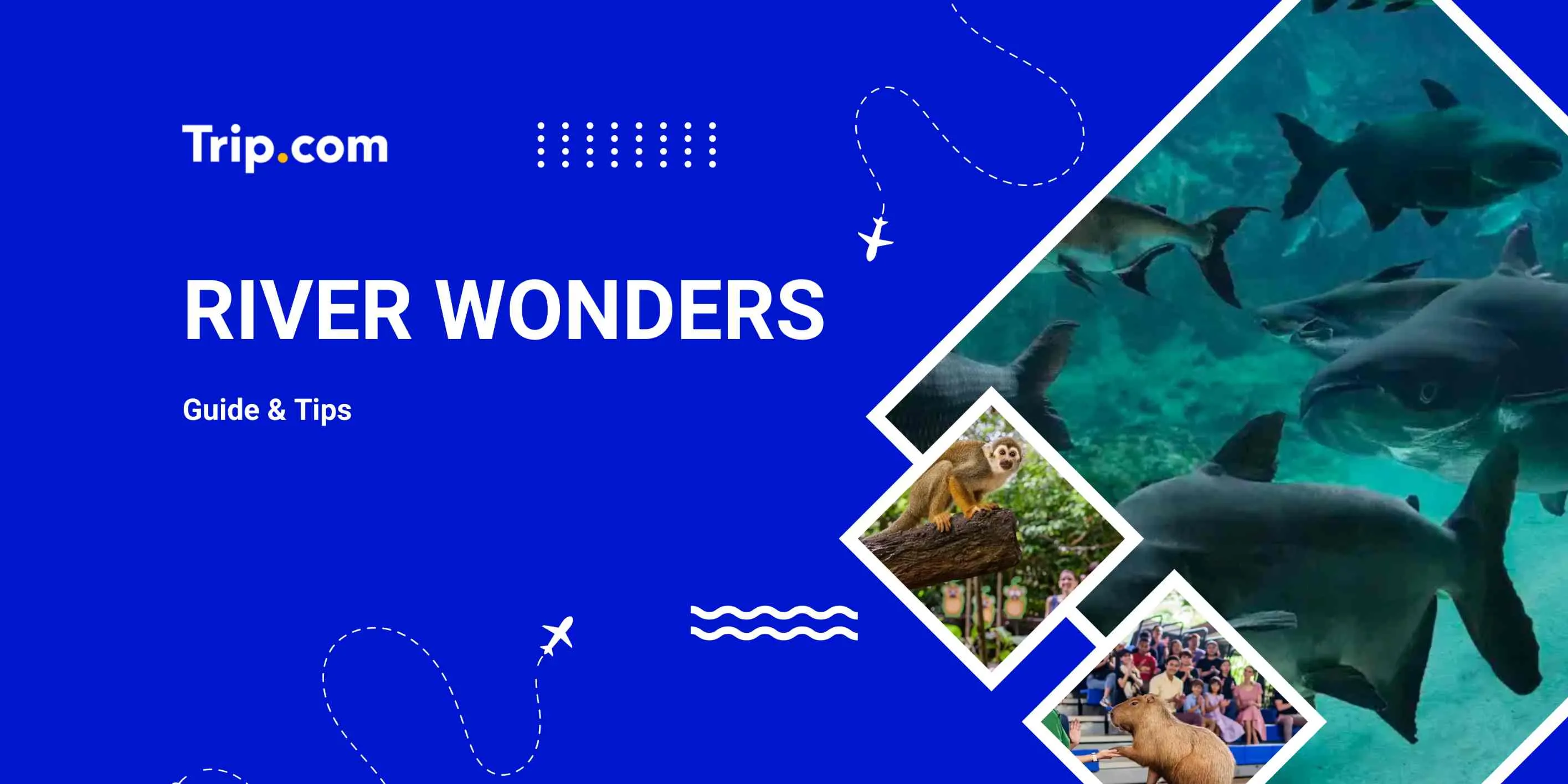 River Wonders Tickets