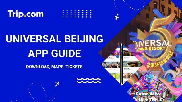 Universal Beijing App: Download, Tips & Features