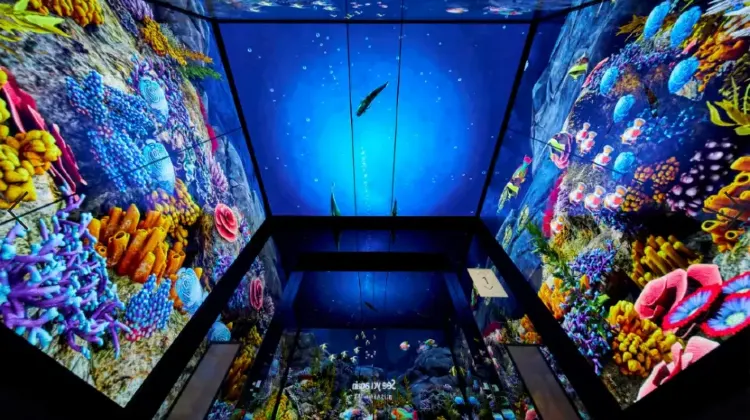 3.スカイエックスショー＆スカイクルーズ