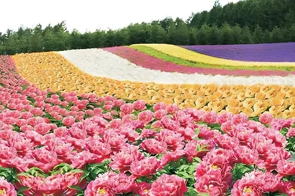 Guangzhou weather in Spring