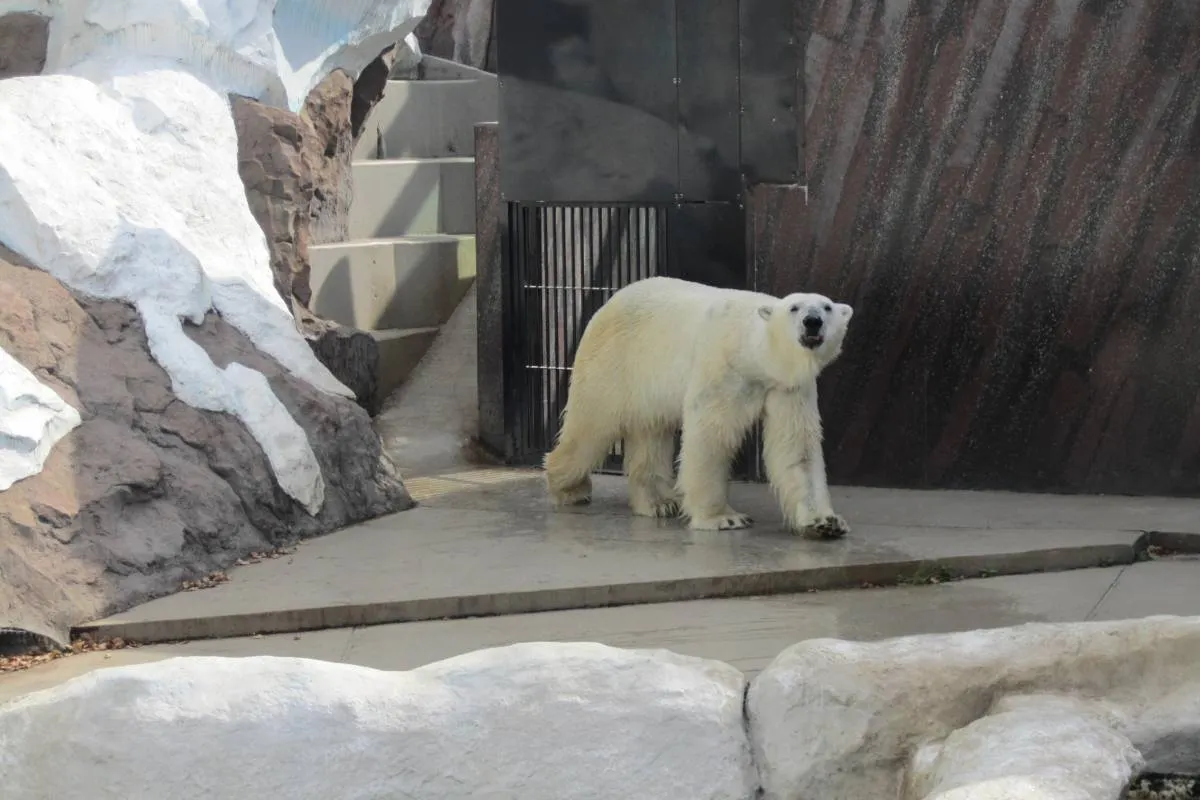 上野動物園東園