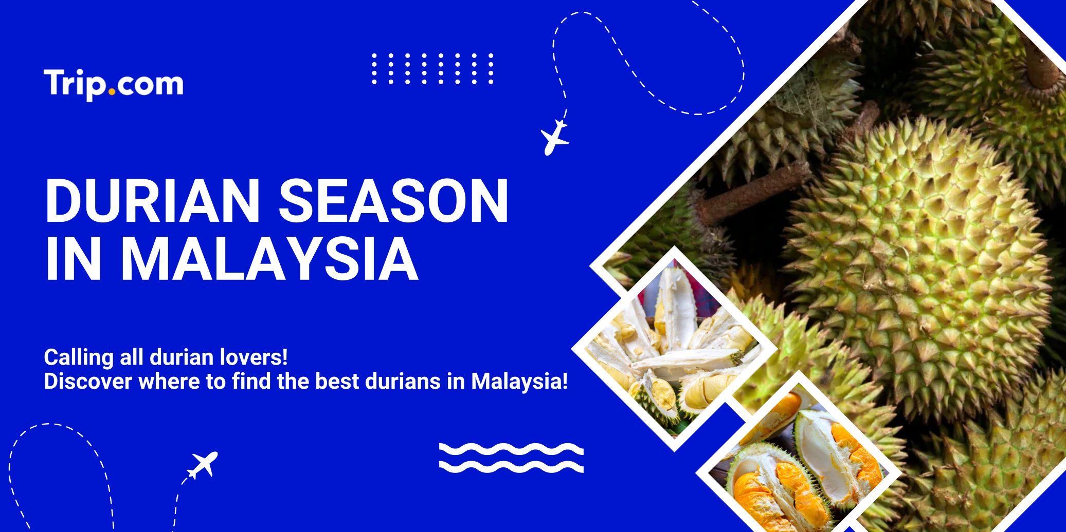 Durian Season in Malaysia: The Ultimate Guide for Durian Lovers!