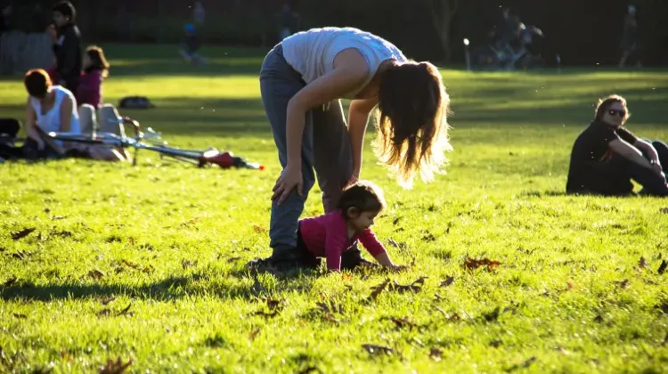 Trip.comでフランスの風情を満喫する旅を計画しよう!