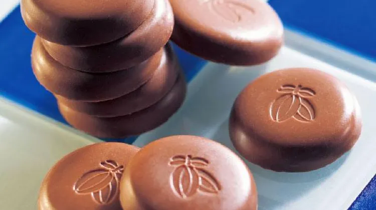 イカム ミニデザートチョコ／ICAM