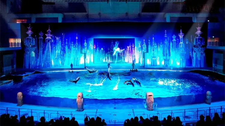 Trip.comの横浜・八景島シーパラダイスのチケットが便利