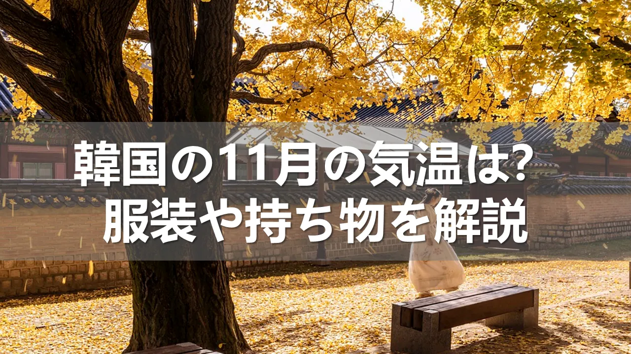 韓国の11月の気温は？服装や持ち物を解説