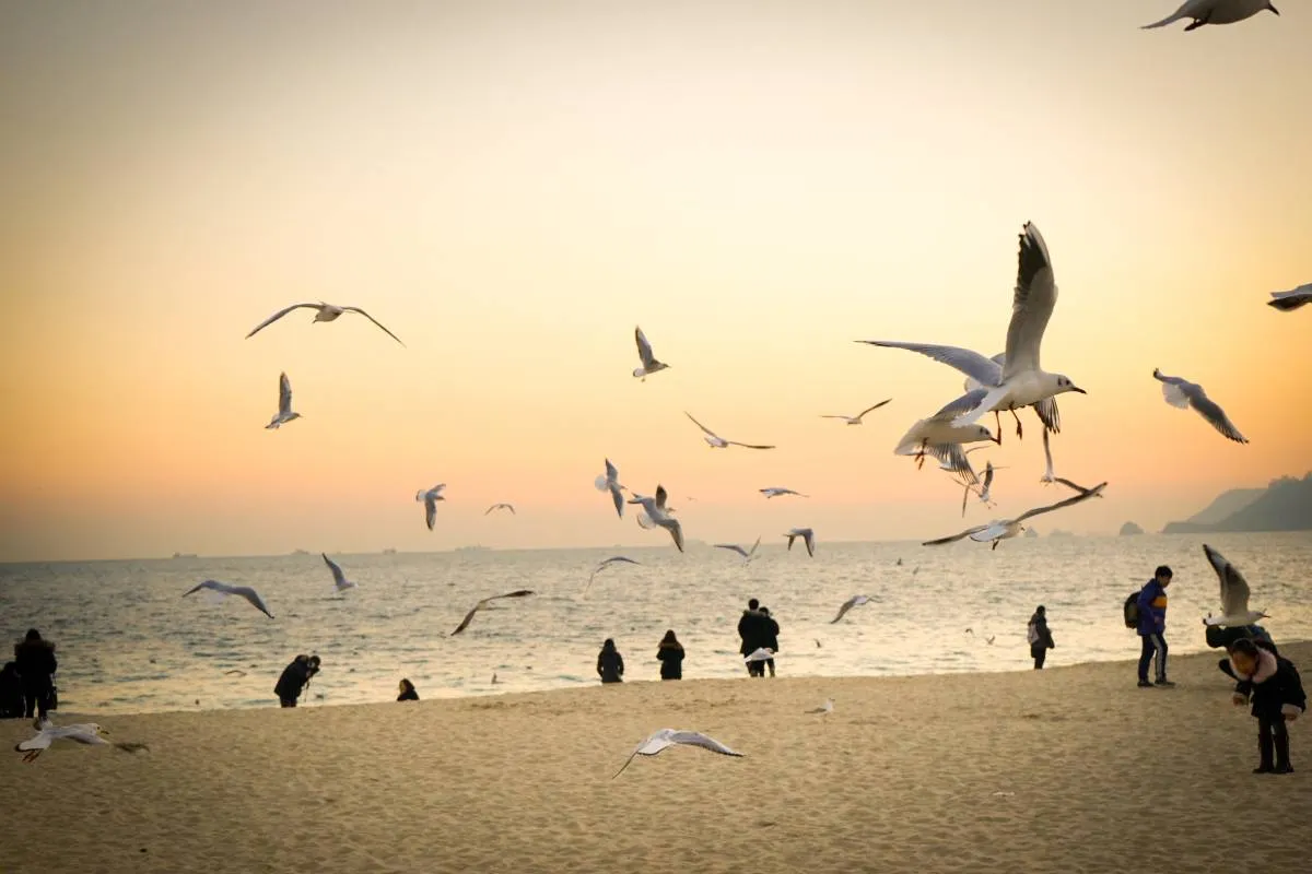 Haeundae Beach