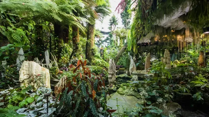 Tempat Wisata di Singapura- Cloud Forest