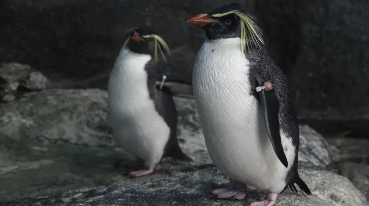Underwater World Langkawi