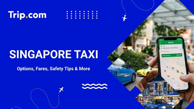 Singapore Taxi Guide: Apps, Fares & Safety Tips | Trip.com