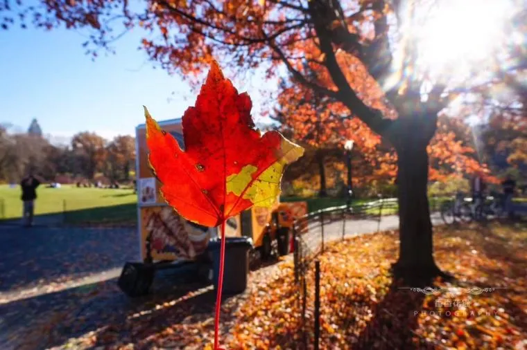 アメリカの季節の特徴