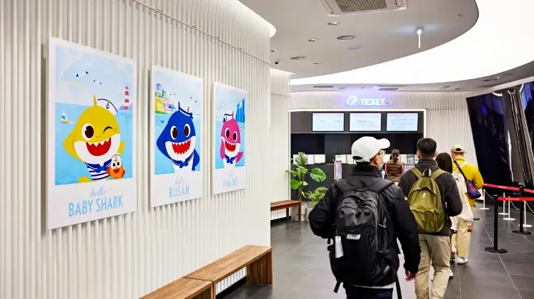 BUSAN X the SKYの基本情報