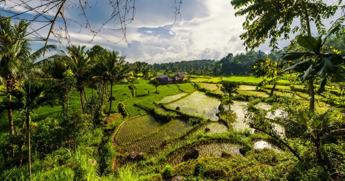 Things to do in Lombok: Senaru Village