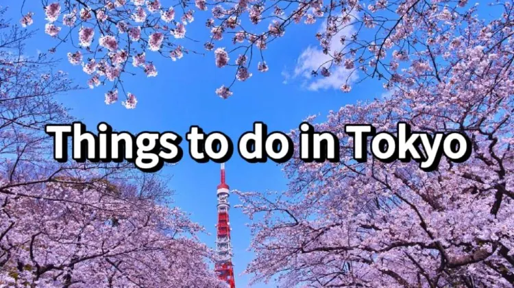 Best Things to Do in Tokyo