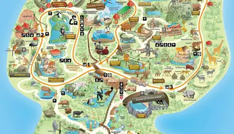 The map of Singapore Zoo