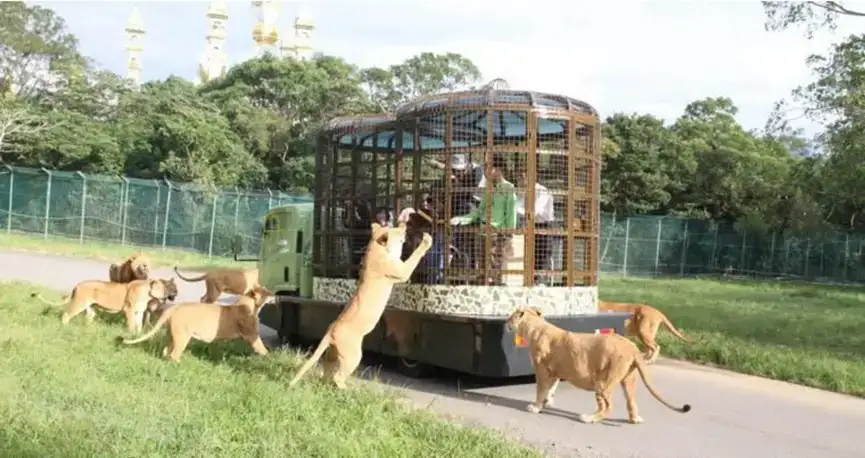 六福村主題遊樂園