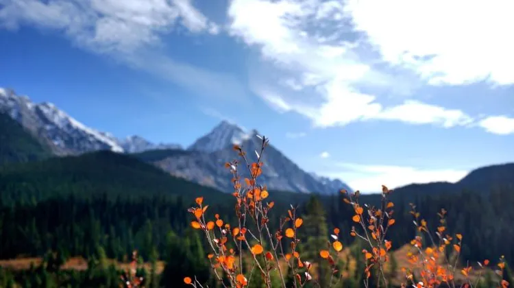 バンフの年間気温について