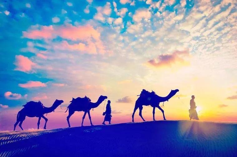 ขี่อูฐที่ทะเลทรายธาร์