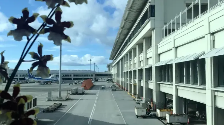 那覇空港から海外への直行便は就航数が多い！