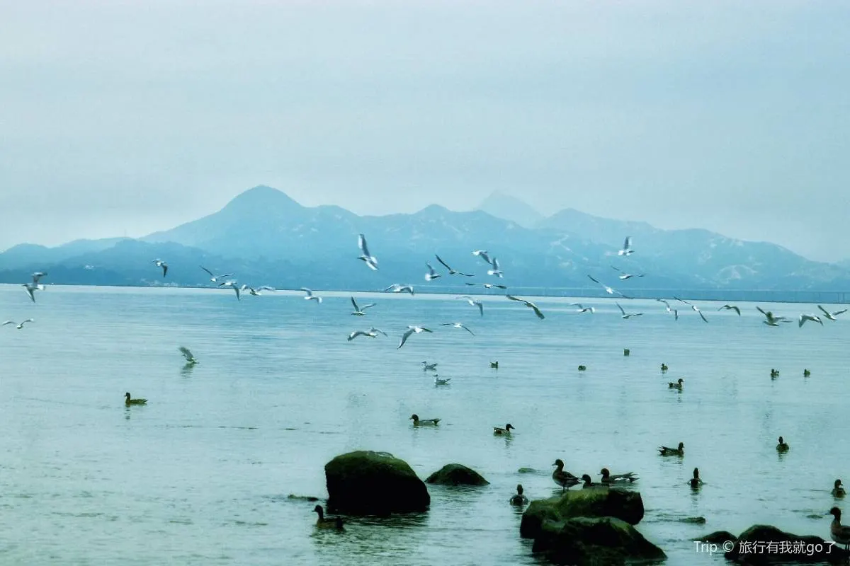 紅樹林生態公園