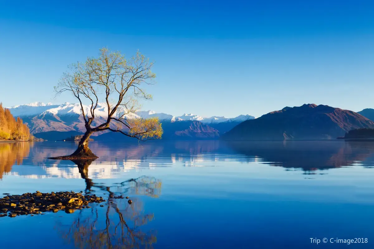 Lake Wanaka in New Zealand