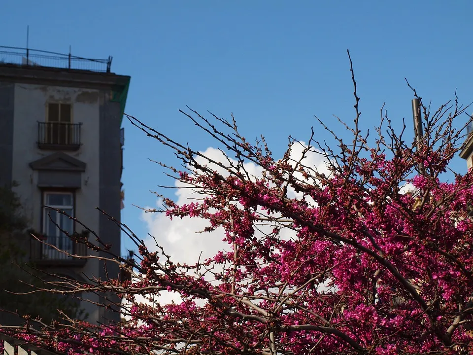 イタリア・ナポリの5月の気温や最適な服装