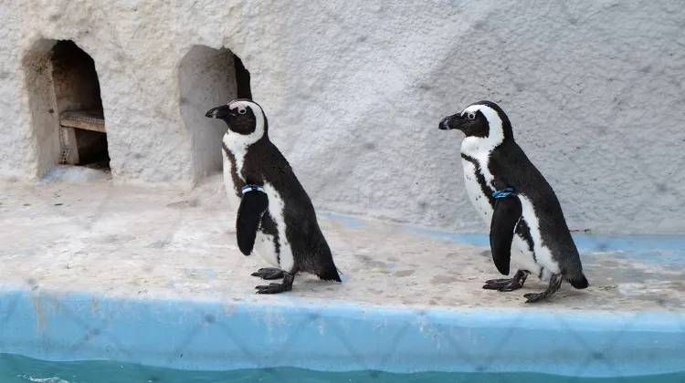 Лучшие достопримечательности рядом со станциями Skyliner