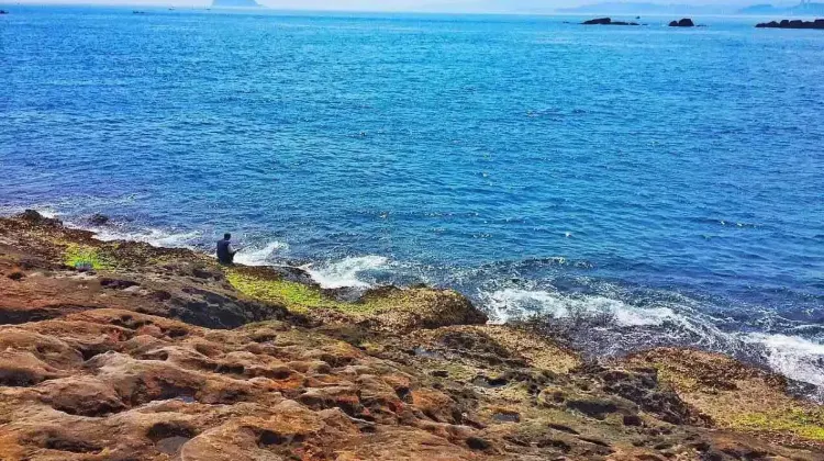 野柳地質公園巡り