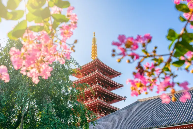 Other attractions in Tokyo