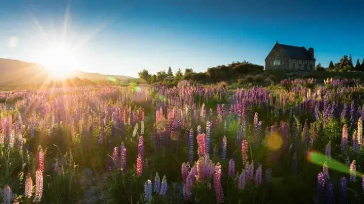 ニュージーランドでの緊急時の対処法